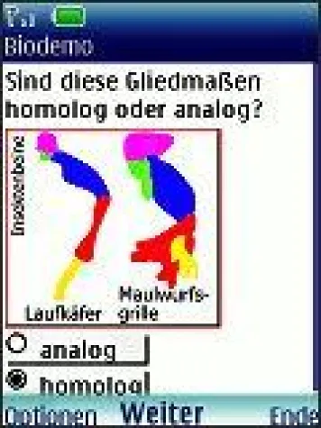 Bild: Handy sinnvoll zur Abi-Vorbereitung nutzen