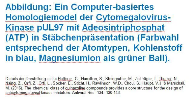 Bild: Vom Krebsmedikament zur Virustherapie: neue Angriffspunkte bei der Bekämpfung des Cytomegalovirus