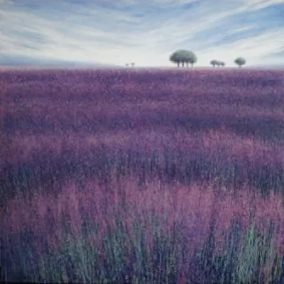 Bild: Ausstellung Nico Namara