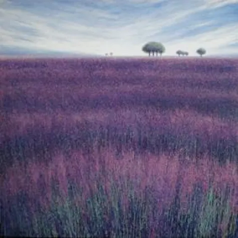 Bild: Ausstellung Nico Namara