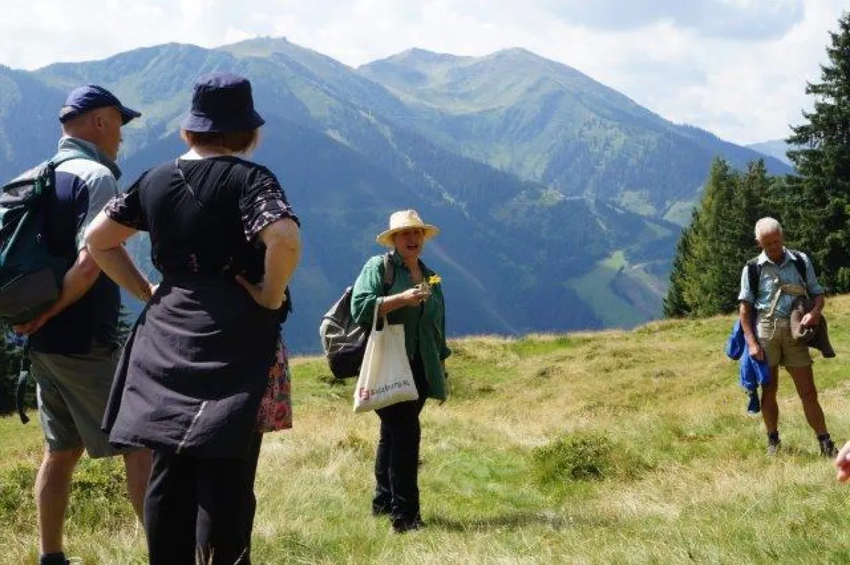 Bei einer Wanderung werden verschiedenste Wildkräuter gesammelt.