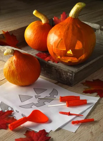 Bild: Kürbisschnitzen – der kreative Herbstspaß