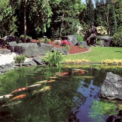 Bild: Der Winter geht, das Frühjahr kommt, die neue Gartenteichsaison steht vor der Tür