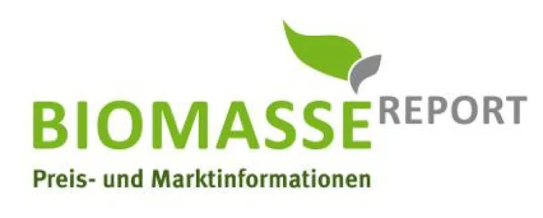 Bild: Biogassubstrate, Pellets und Hackschnitzel im Überblick