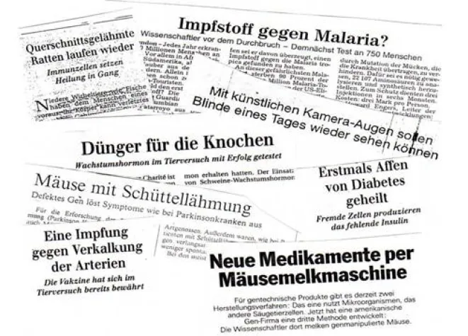 Bild: Studie: Heilsversprechungen der tierexperimentellen Forschung