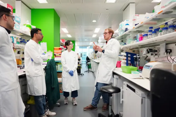 Bild: Süße Signale: Zuckerbeschichtete Sensoren im Körper erstmals erfolgreich nachverfolgt