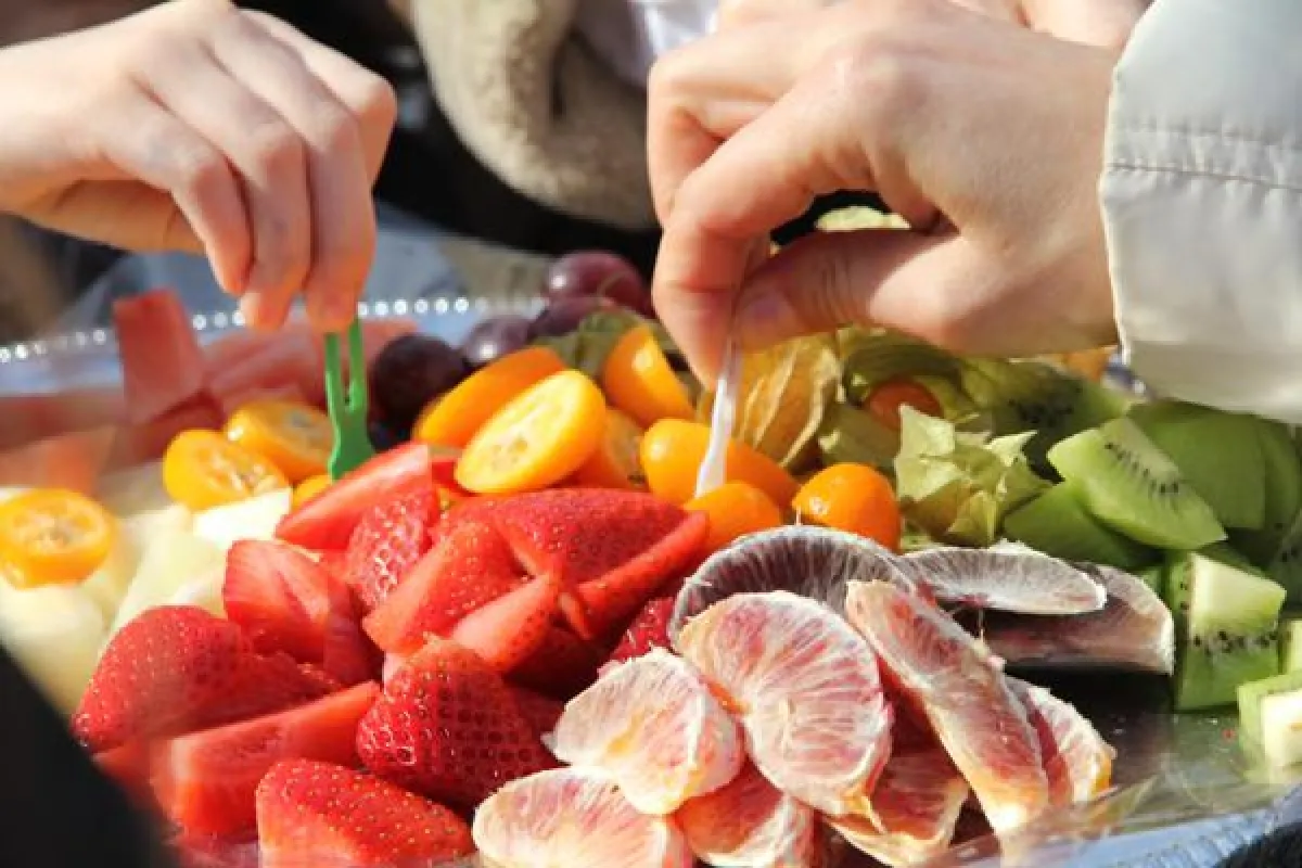 Probieren geht über studieren!