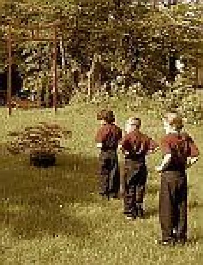 Kinder Tai Chi im Garten der Wu Wei Hamburg