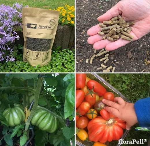 Bild: floraPell® Schafwollpellets sind patentiert und nachhaltig