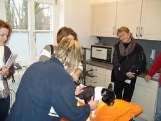 Bild: Problem Nr.1 in der Kleintierpraxis: Hautpatienten – oft ein schwieriges Unterfangen