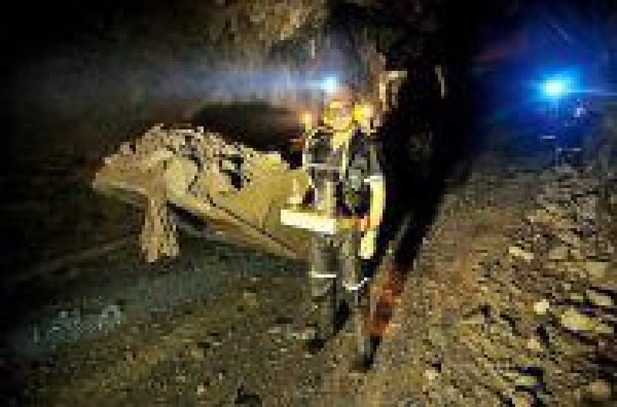 Ascendant Baggerführer