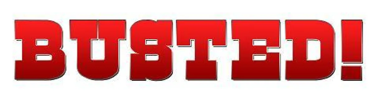 BUSTED! Logo