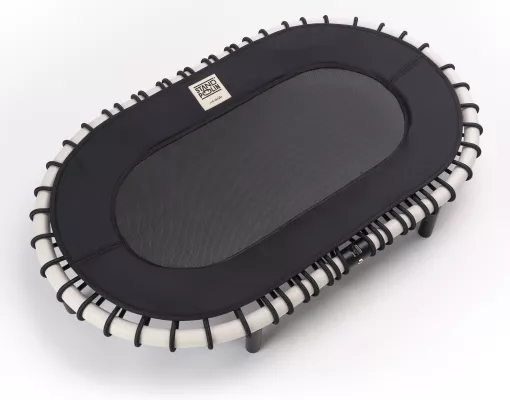 Bild: AKTIVES STEHEN - DAS STANDPOLIN  Schwingen, nicht springen!