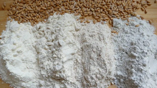 Bild: Klimafreundlicher Backweizen:  Weniger Dünger und Pflanzenschutz – stabile Backqualität