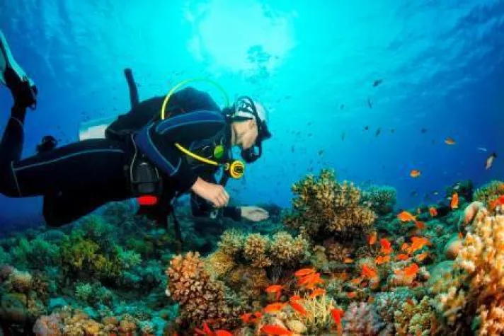 Bild: Vom Beach Boy Surfing und anderen Trendsportarten