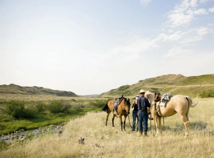 Bild: USA-Erlebnis für Cowboy-Fans: Mit e-kolumbus zu Gast auf einer texanischen Ranch im „Lone Star State“