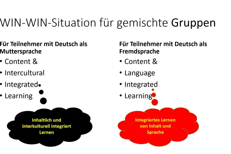 Bild: CLIL-Online-Weiterbildung mit fremdsprachigen Untertiteln anbieten