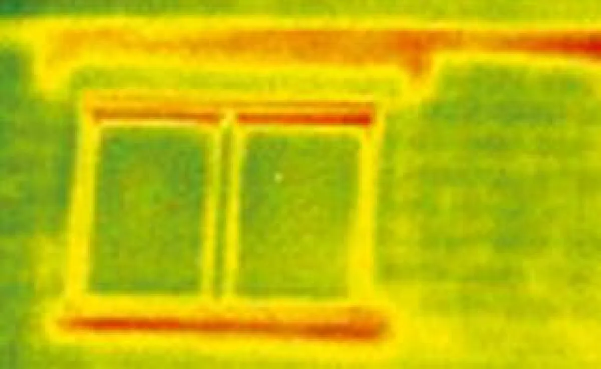 Wärmebild, Quelle Flir