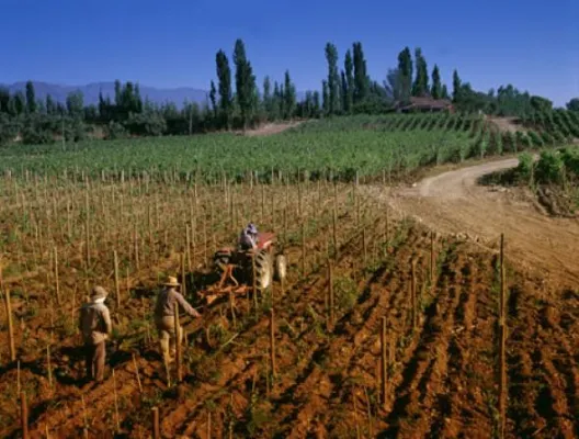 Bild: Luigi Bosca - Wein aus Argentinien nach bestem traditionellen Stil