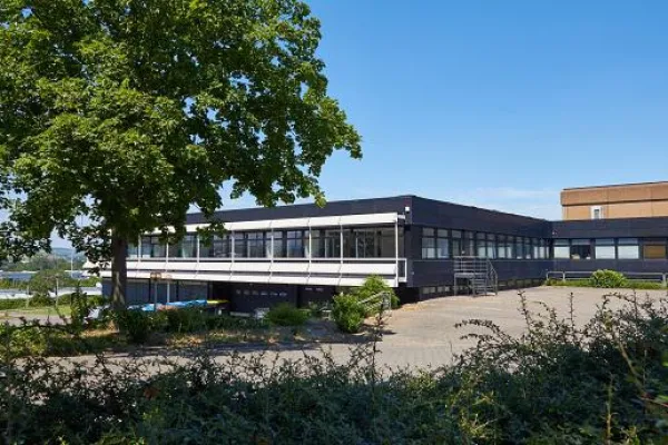 Neue Besen kehren besser Bild: Neue Besen kehren besser