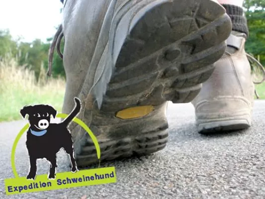 Nach der Expedition ist vor der Expedition Bild: Nach der Expedition ist vor der Expedition