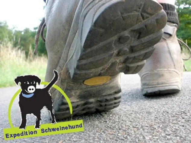 Bild: Nach der Expedition ist vor der Expedition