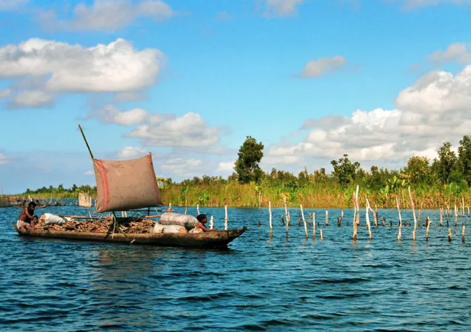 Bild: Den Waldgeistern auf der Spur - Unterwegs auf der exotischen Insel Madagaskar