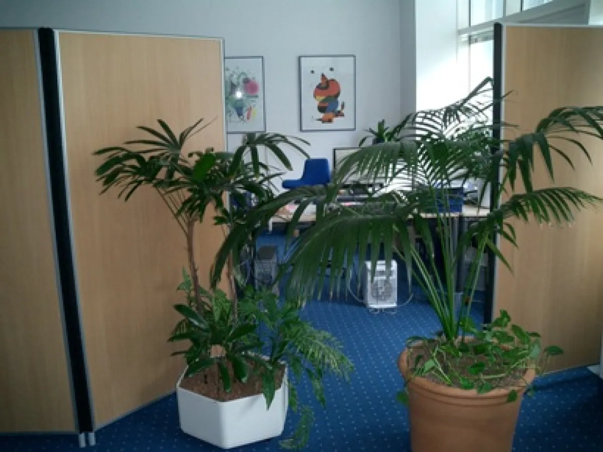 Büroeinsatz der Treneo Stellwand