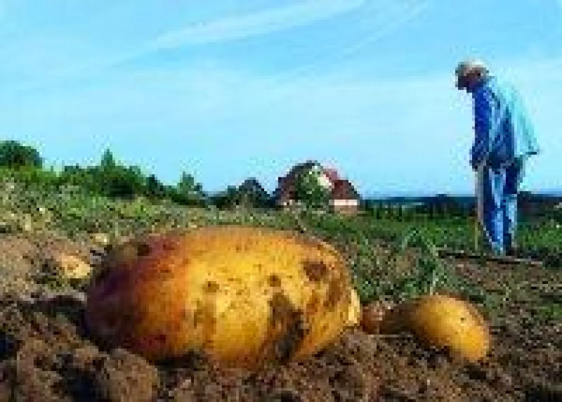 Immer beliebter: Bioanbau