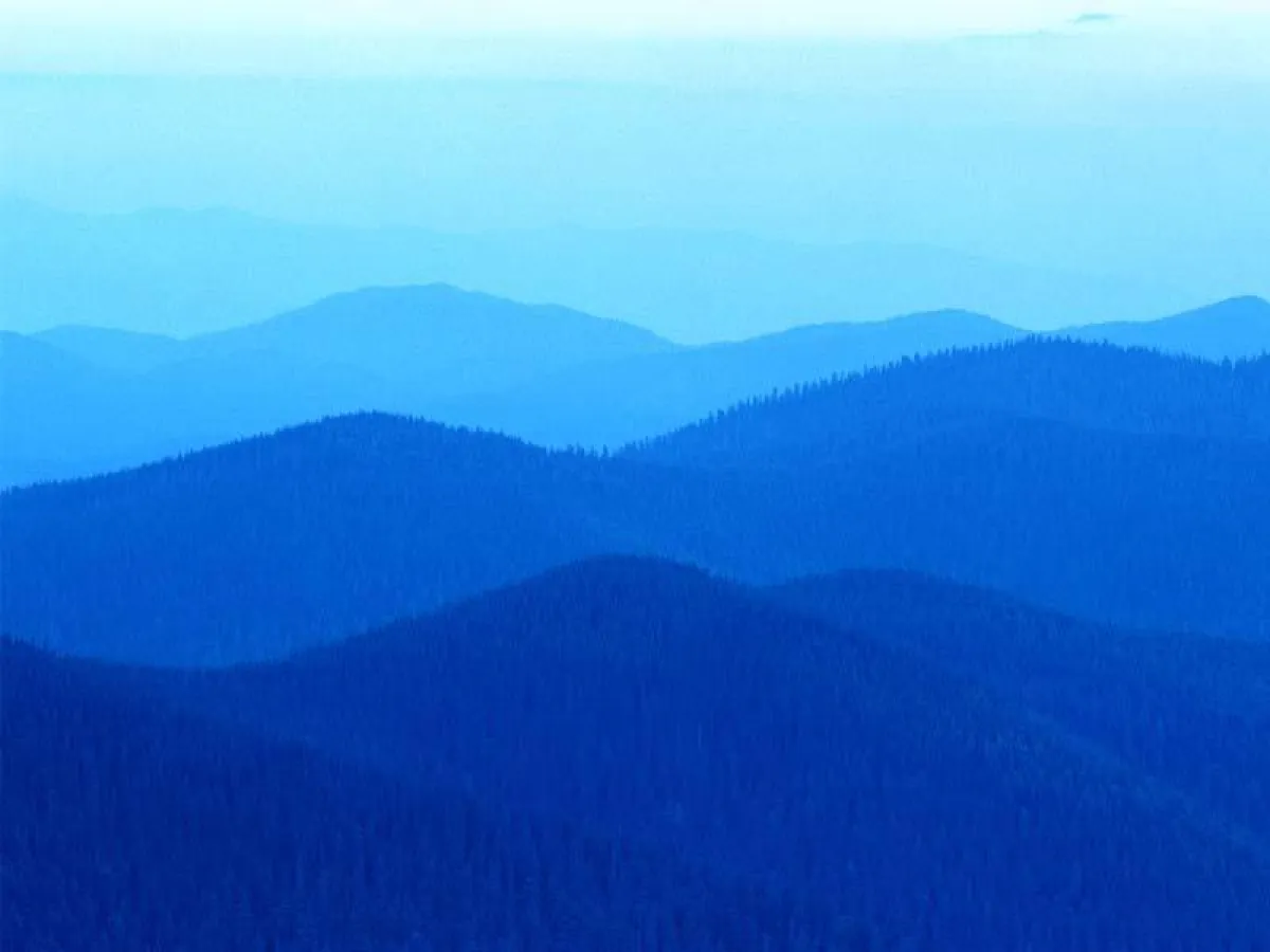 Hans Maier, Geschäftsführer APEXNOVA