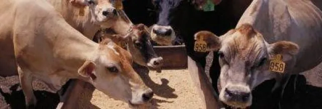 FeedConcepts umfasst 1 Mio tonnen Mischfutter Bild: FeedConcepts umfasst 1 Mio tonnen Mischfutter