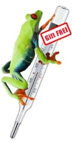 Bild: Das Messgerät: Quecksilberfreies Glas-Fieberthermometer classic