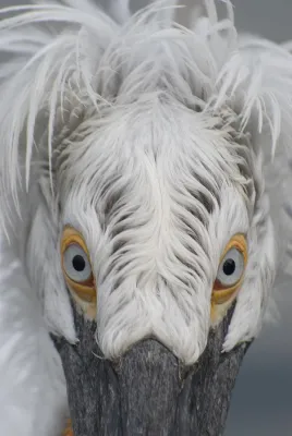 Bild: Fotoseminar „Tiere sehen lernen und fotografieren“ im Allwetterzoo Münster mit der Fotoschule des Sehens