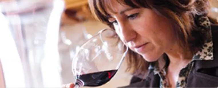 Rioja-Weine mit Charakter neu eingetroffen bei BELViNi.DE Weinversand – Bodegas Rioja Vega Bild: Rioja-Weine mit Charakter neu eingetroffen bei BELViNi.DE Weinversand – Bodegas Rioja Vega