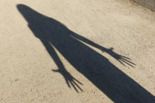 Bild: Innovatives Ermittlungswerkzeug für ungeklärte Kriminalfälle