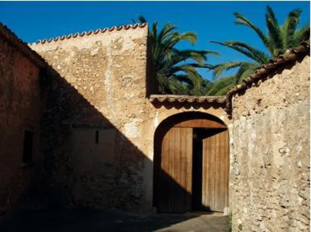 Bild: Wein Mallorca - Bodega Son Prim - Mitten im Weinberg