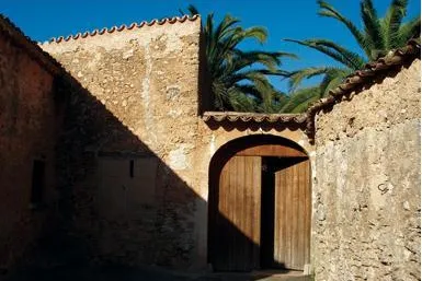 Wein Mallorca - Bodega Son Prim - Mitten im Weinberg Bild: Wein Mallorca - Bodega Son Prim - Mitten im Weinberg