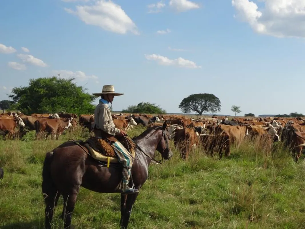 Auf den Spuren der Gauchos in Argentinien