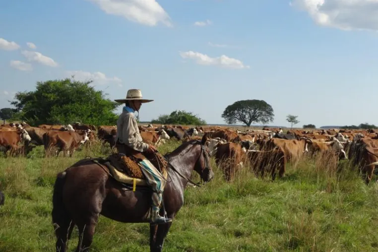 Bild: Argentinien Reise – Auf den Spuren der Gauchos