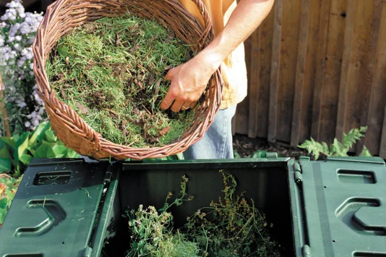 Kompost-Tipps: Gratisdünger aus der Natur Bild: Kompost-Tipps: Gratisdünger aus der Natur