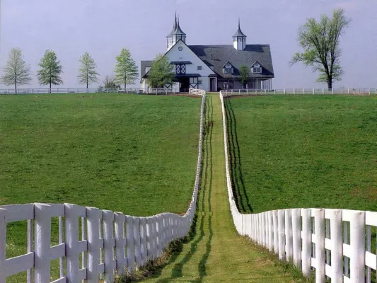 Bild: Immobilien in Florida preiswert wie nie - Käufermarkt für USA Immobilien