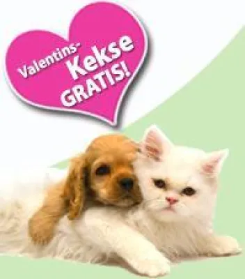 Bild: Happy Valentins - zooplus beschenkt Kunden mit süßer Überraschung