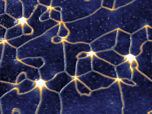 Bild: Forschende erzeugen chirales antiferromagnetisches Netzwerk