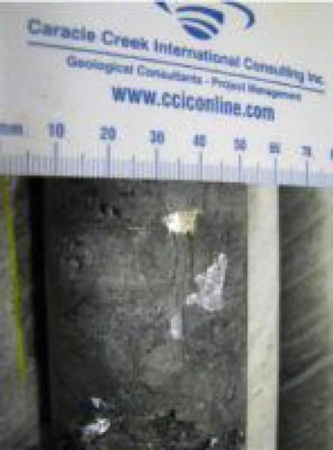 Quelle: Treasury Metals