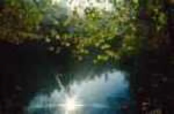 Bild: Urlaubsplaner Naturpark Oberer Bayerischer Wald