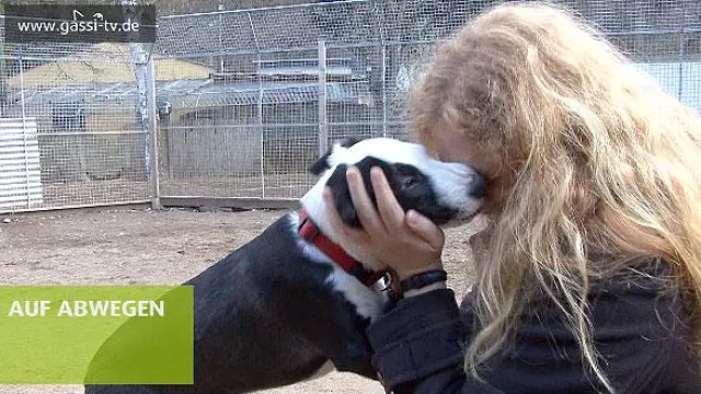 Bild: Tierheim Koblenz