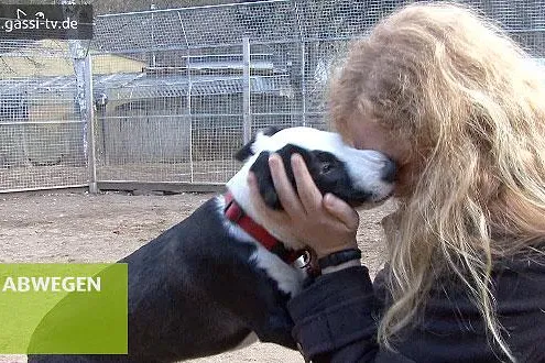 Bild: Tierheim Koblenz