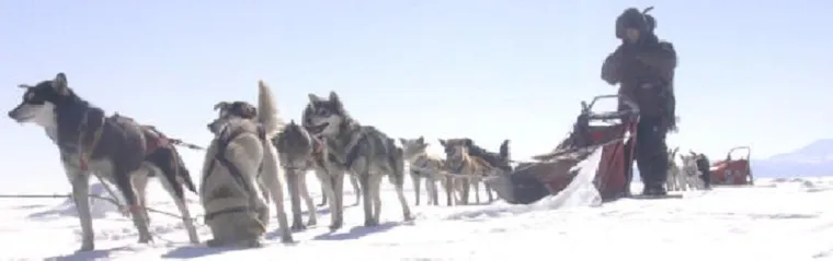 Bild: Reisen im Winter in die Mongolei, zum Baikalsee oder nach Kamtschatka