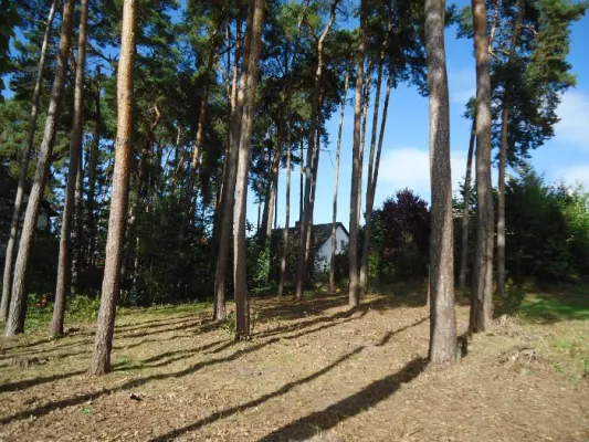 Bild: Neues Grundstück in Erlangen-Dechsendorf erworben