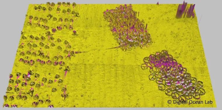Bild: Detektion von Munitionsaltlasten - Fraunhofer IGD erweitert Digital Ocean Lab um UXO-Garten